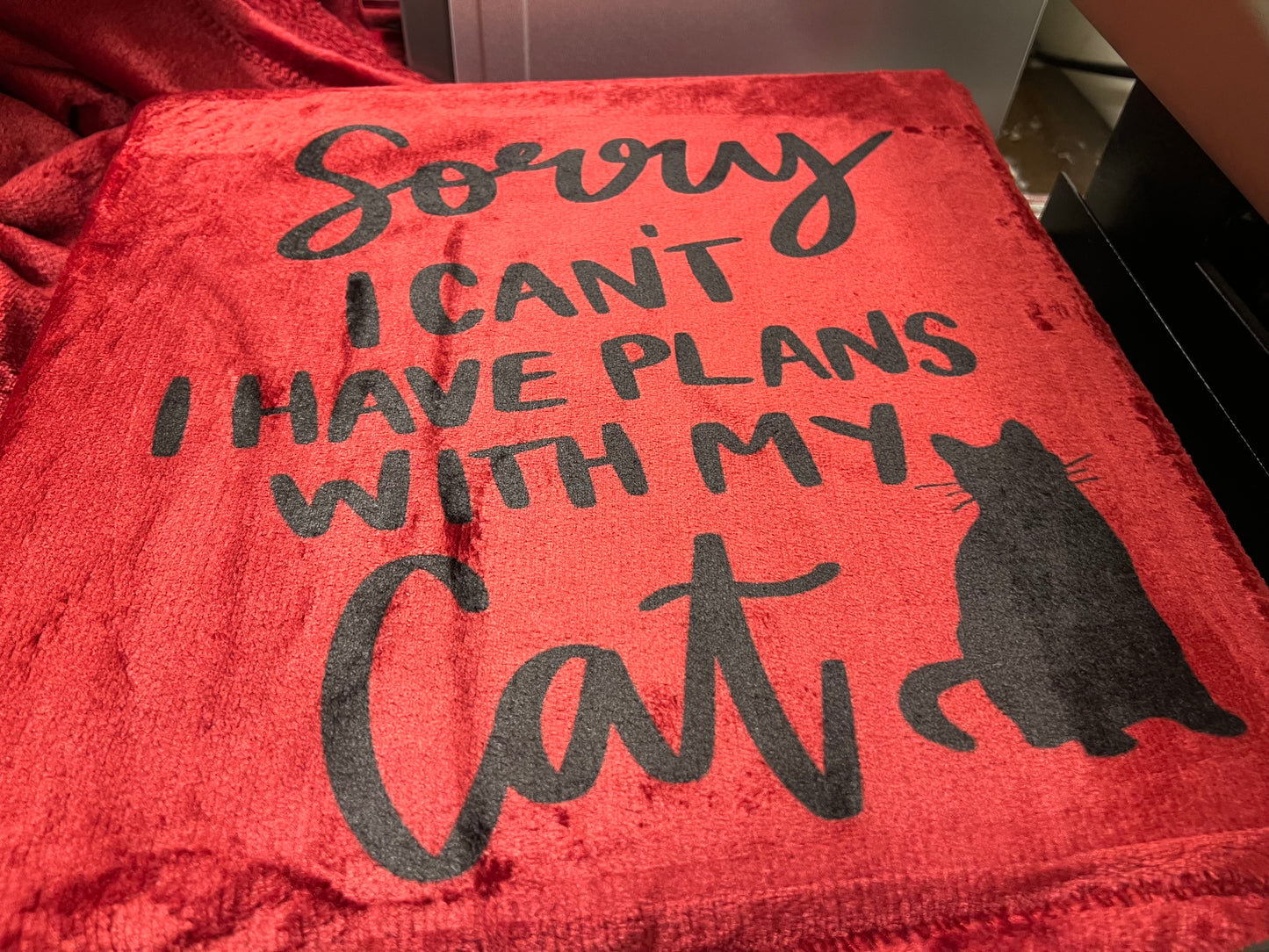 Plans With My Cat Blanket