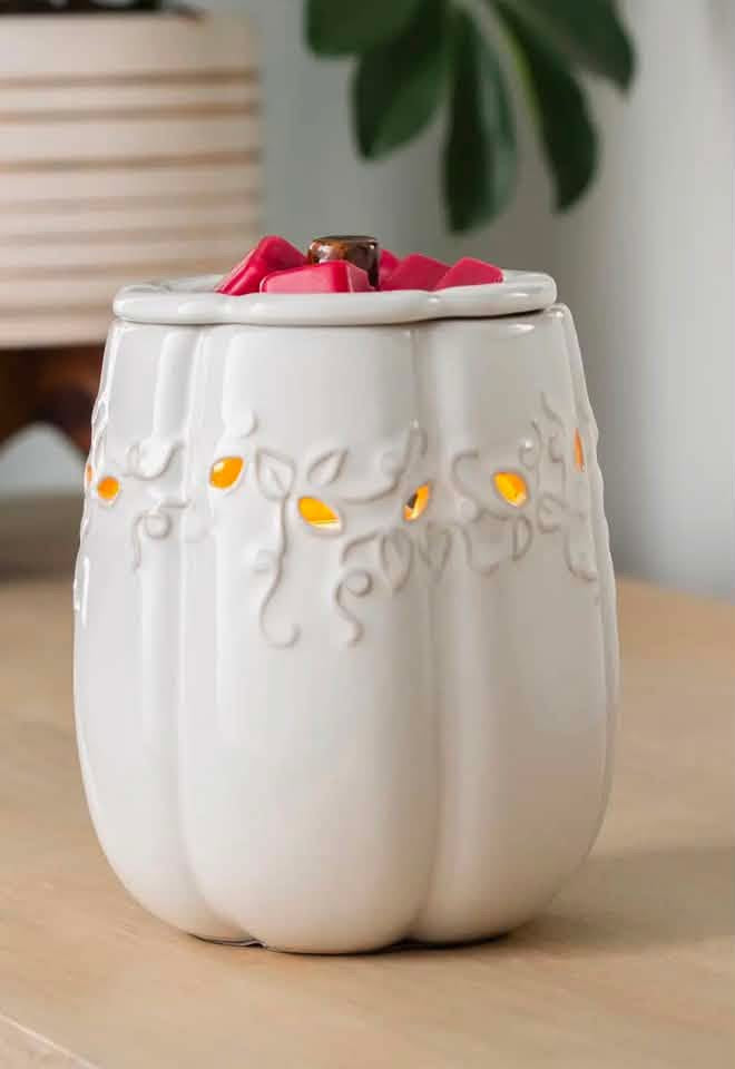 Fragrance Warmer