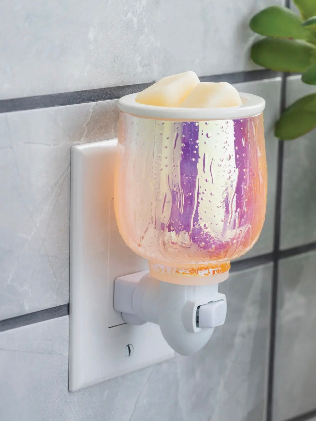 Fragrance Warmer