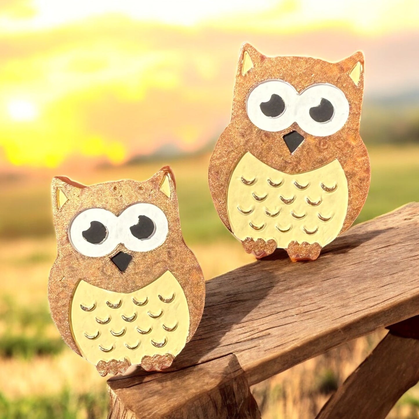Owl Magnet Set