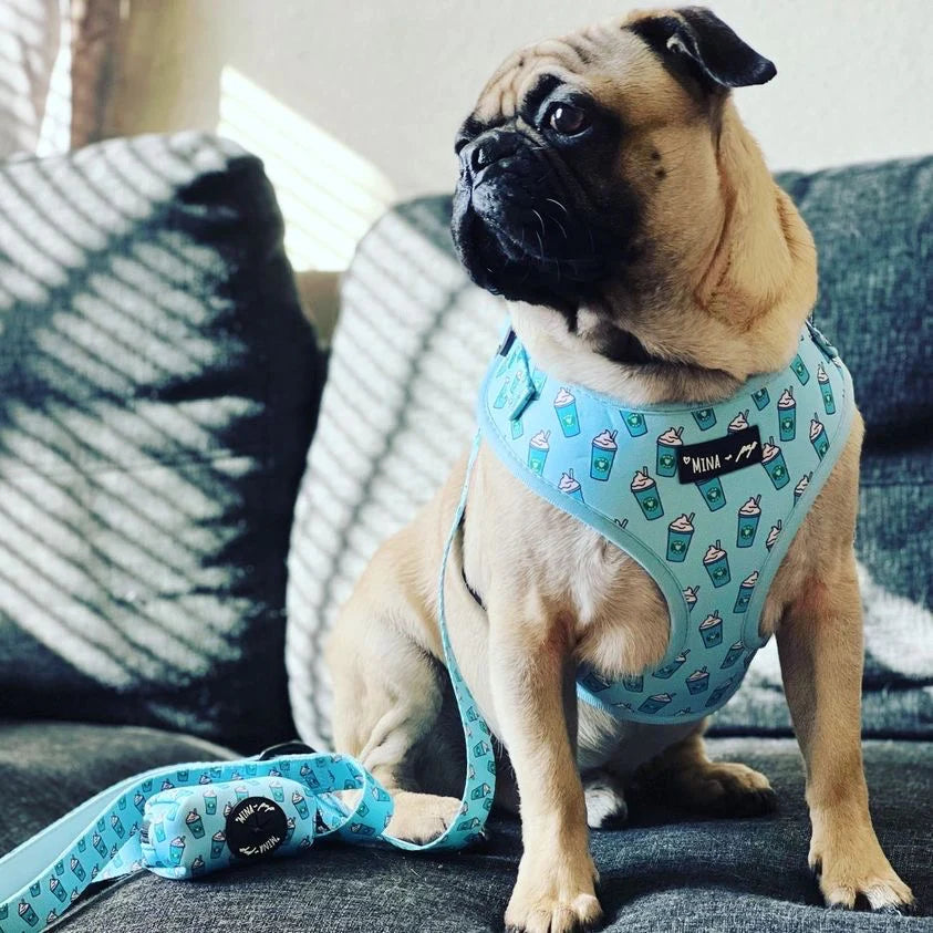 Pupshake Blue Adjustable Harness