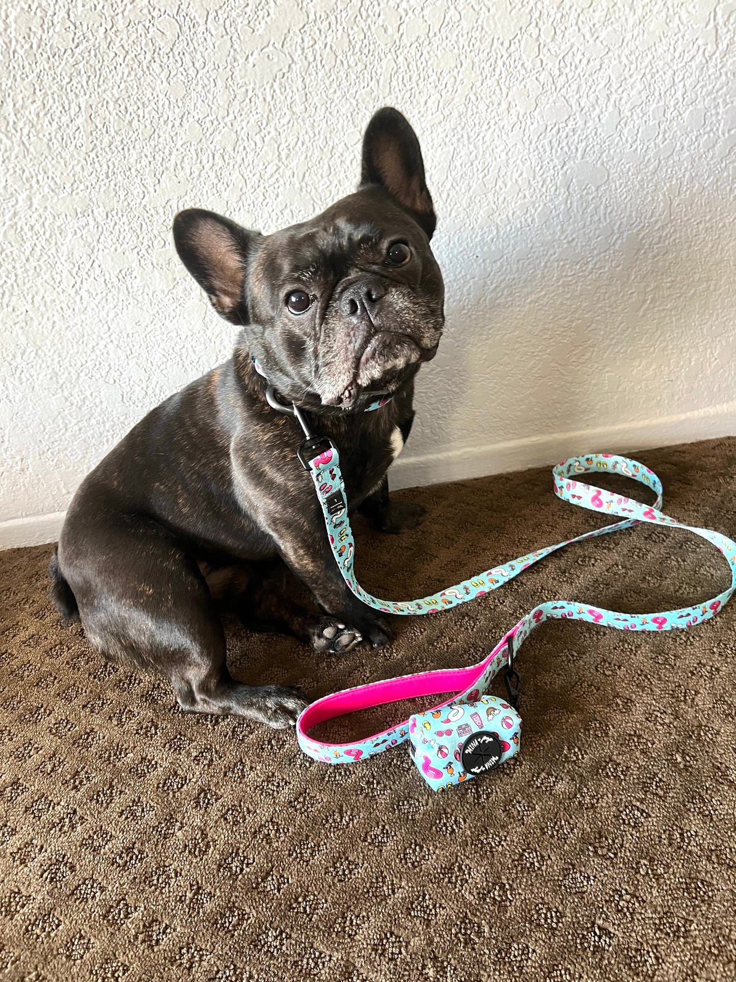 Pool Day Comfort Collar