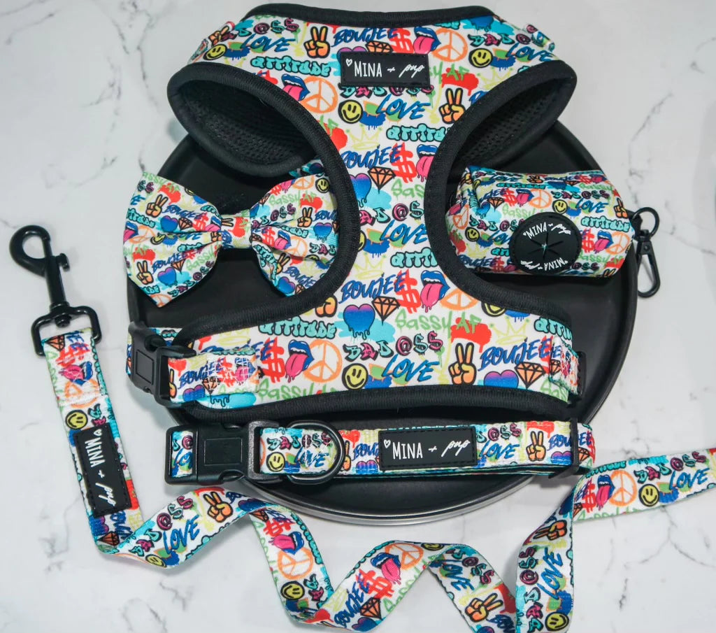 Graffiti Adjustable Harness