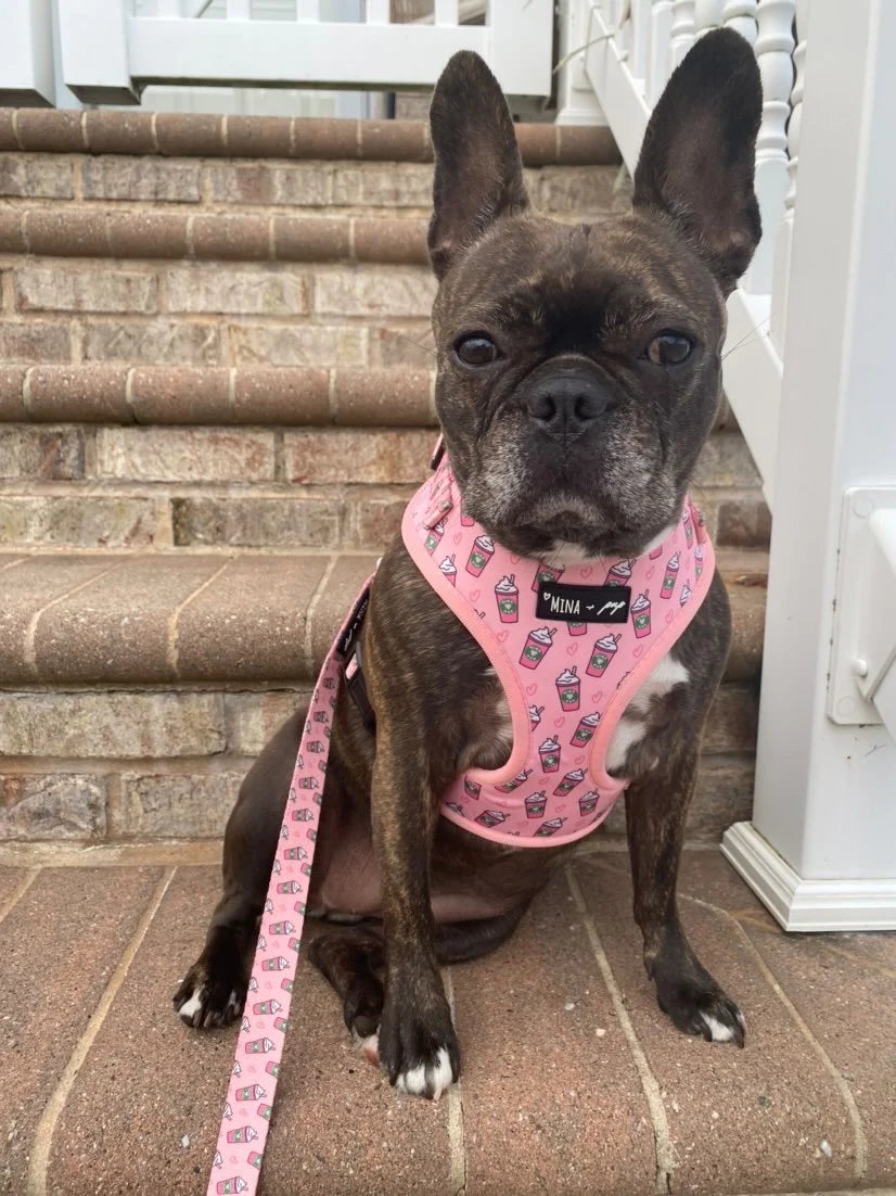 Pupshake Pink Adjustable Harness