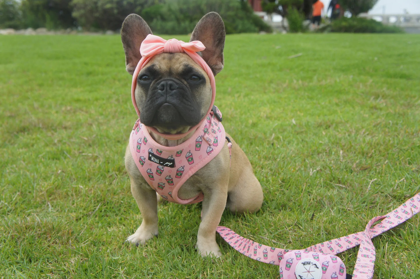 BUNDLE: Pupshake Pink Adjustable Harness, Leash and Poop Bag Bundle