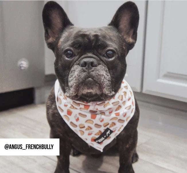 Drive-in Diner Tie On Bandana