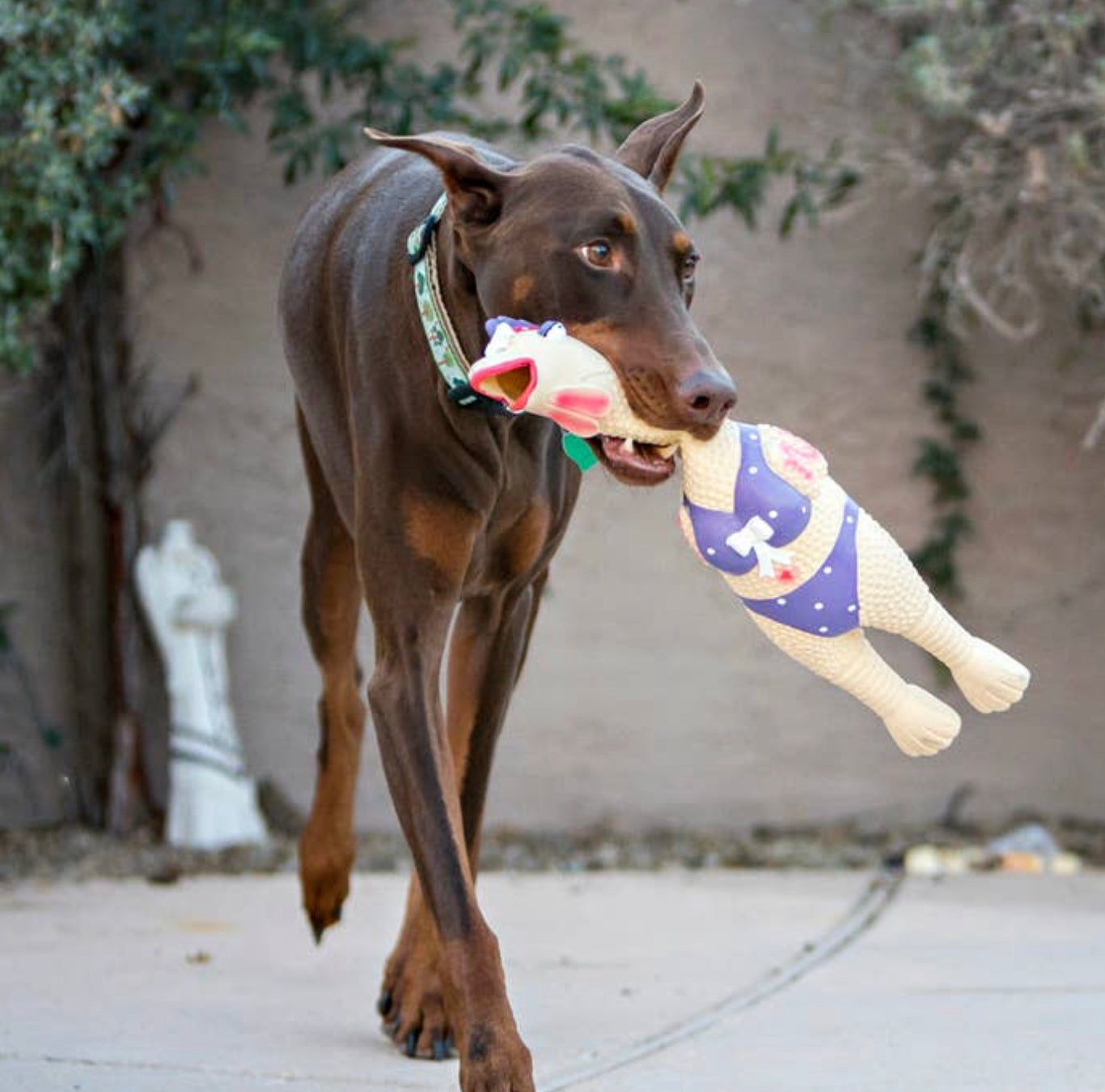 Large Dog Toy