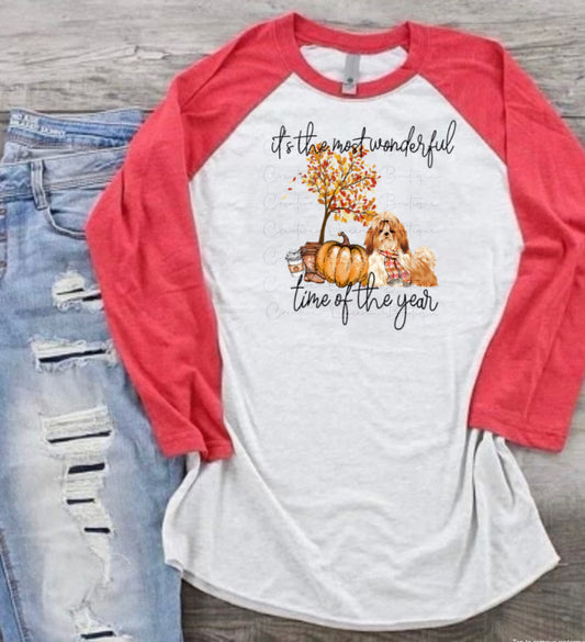 Fall Shih Tzu Raglan Tee