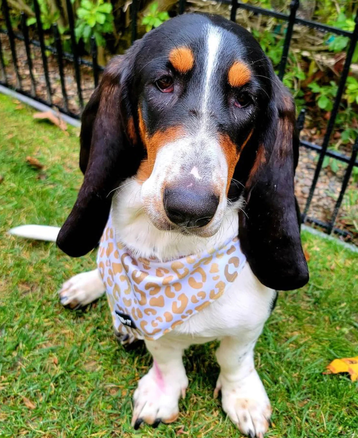 You're So Golden Tie On Bandana