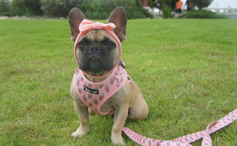 Pupshake Pink Adjustable Harness