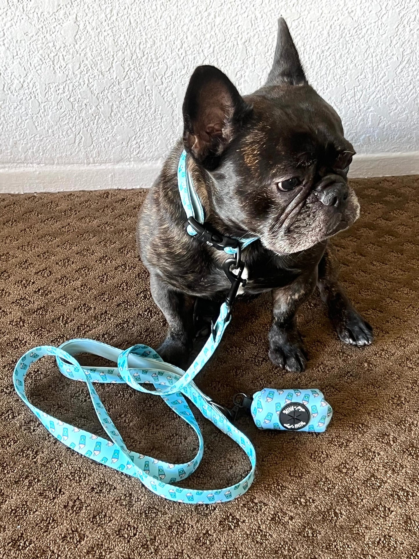 Pupshake Blue Poop Bag Holder