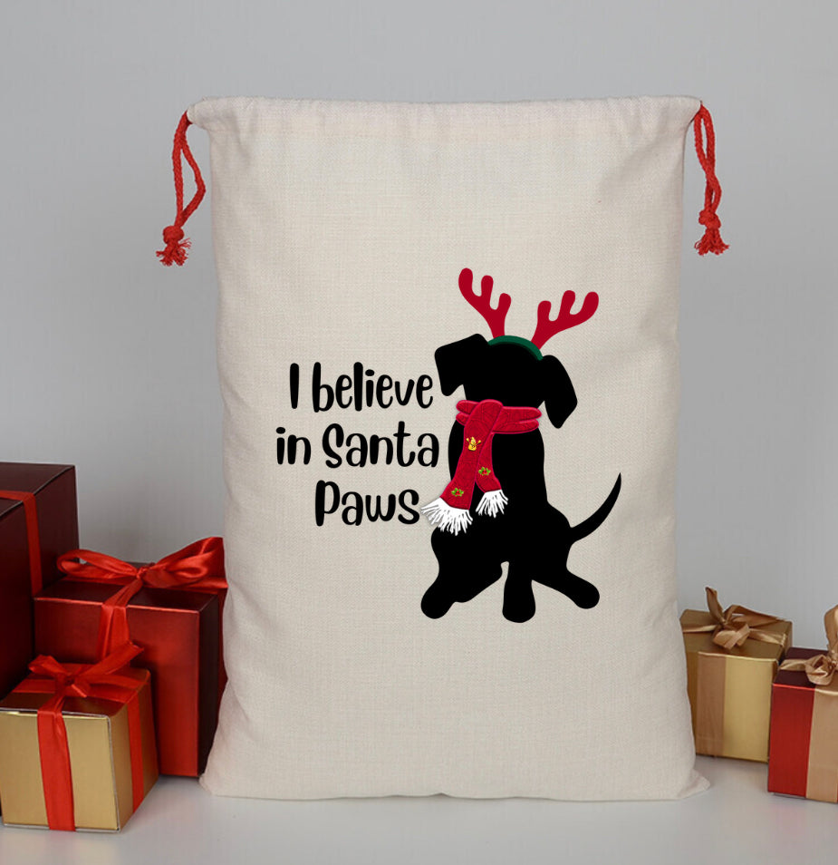 Santa Paws Santa Bag