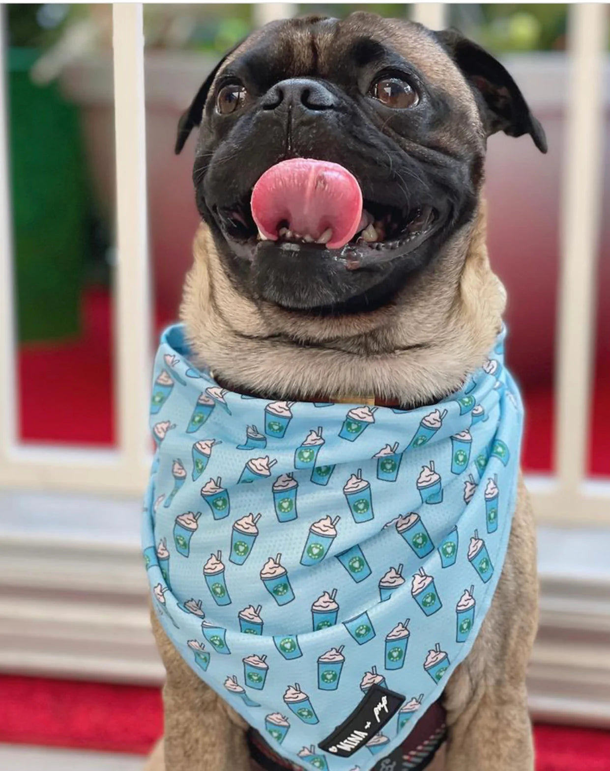 Pupshake Blue Tie On Bandana