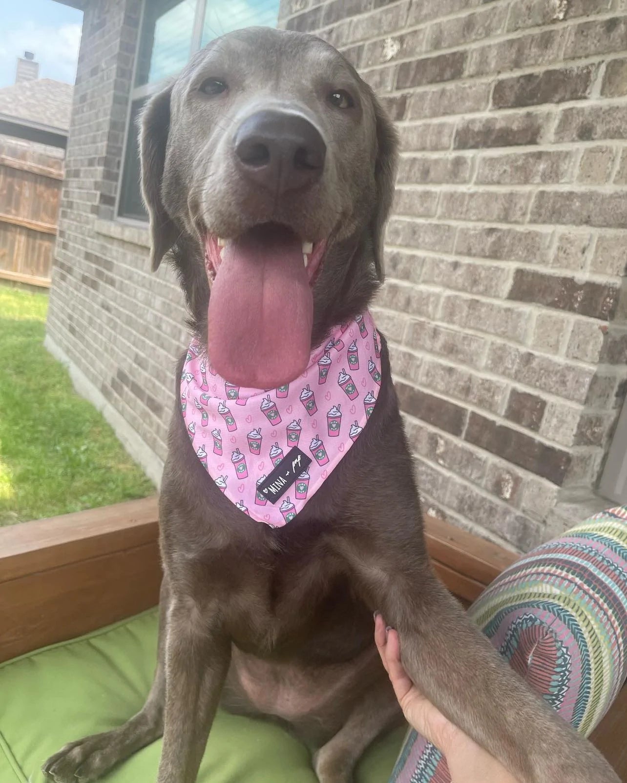 Pupshake Pink Tie On Bandana