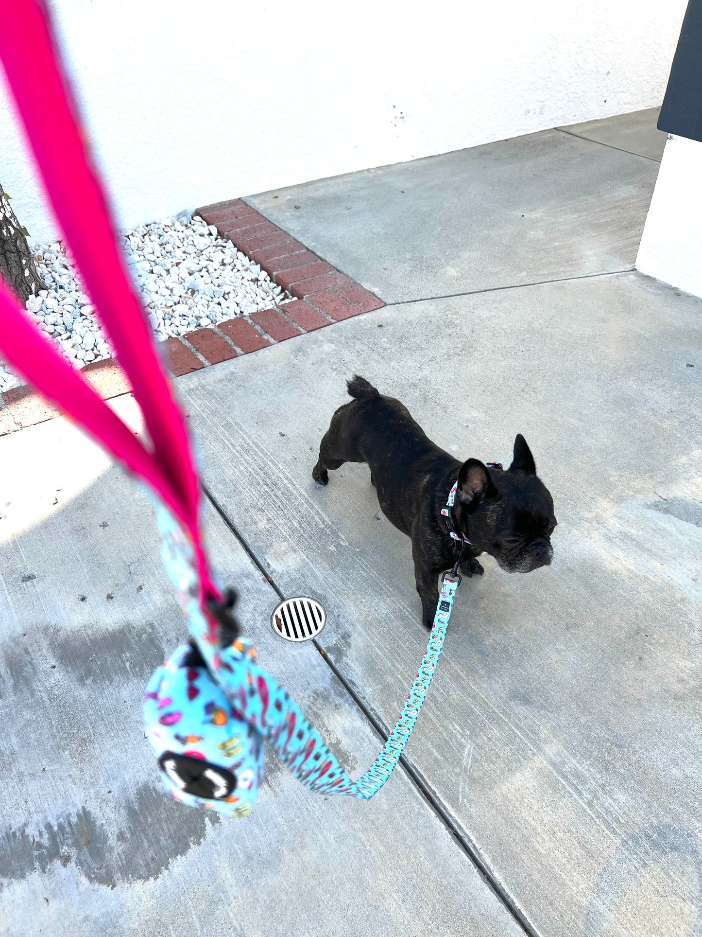 Pool Day 5 Foot Comfort Leash - ONE SIDE FLAMINGOS, OTHER SIDE UNICORNS