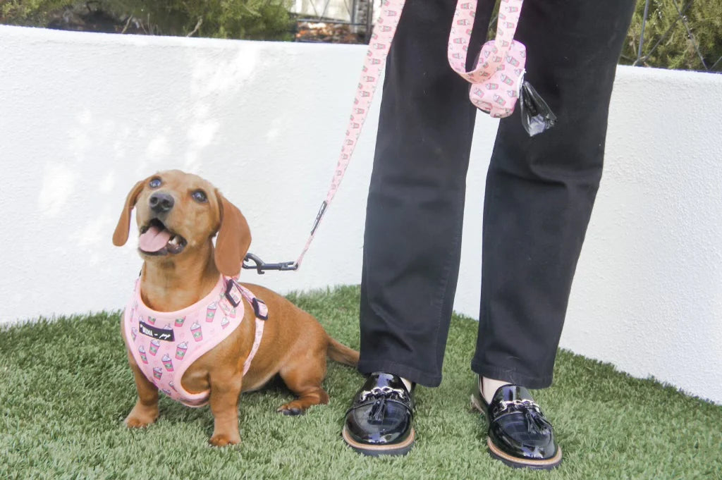 Pupshake Pink Adjustable Harness