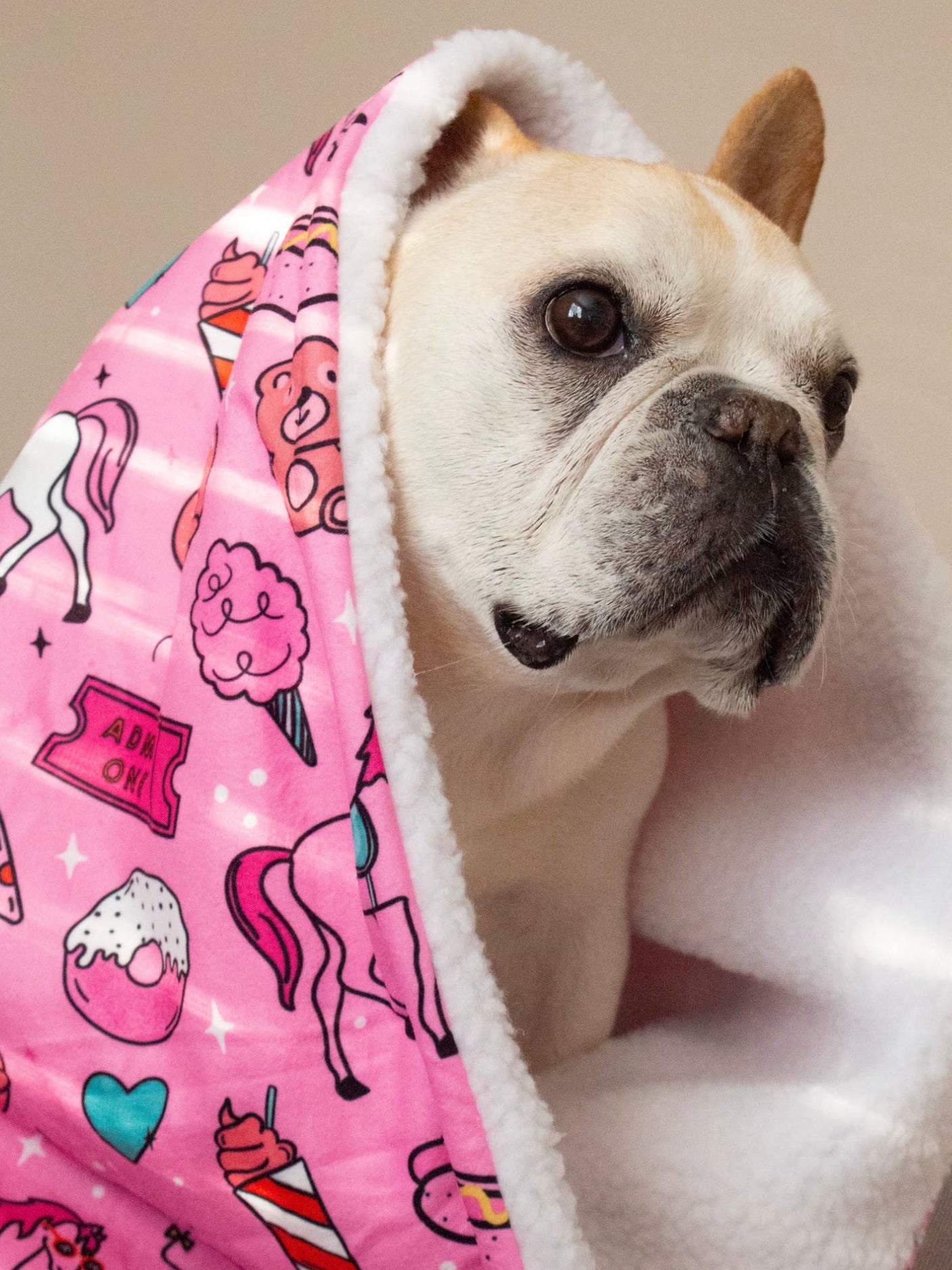 Pink Carnival Fleece Dog Blanket