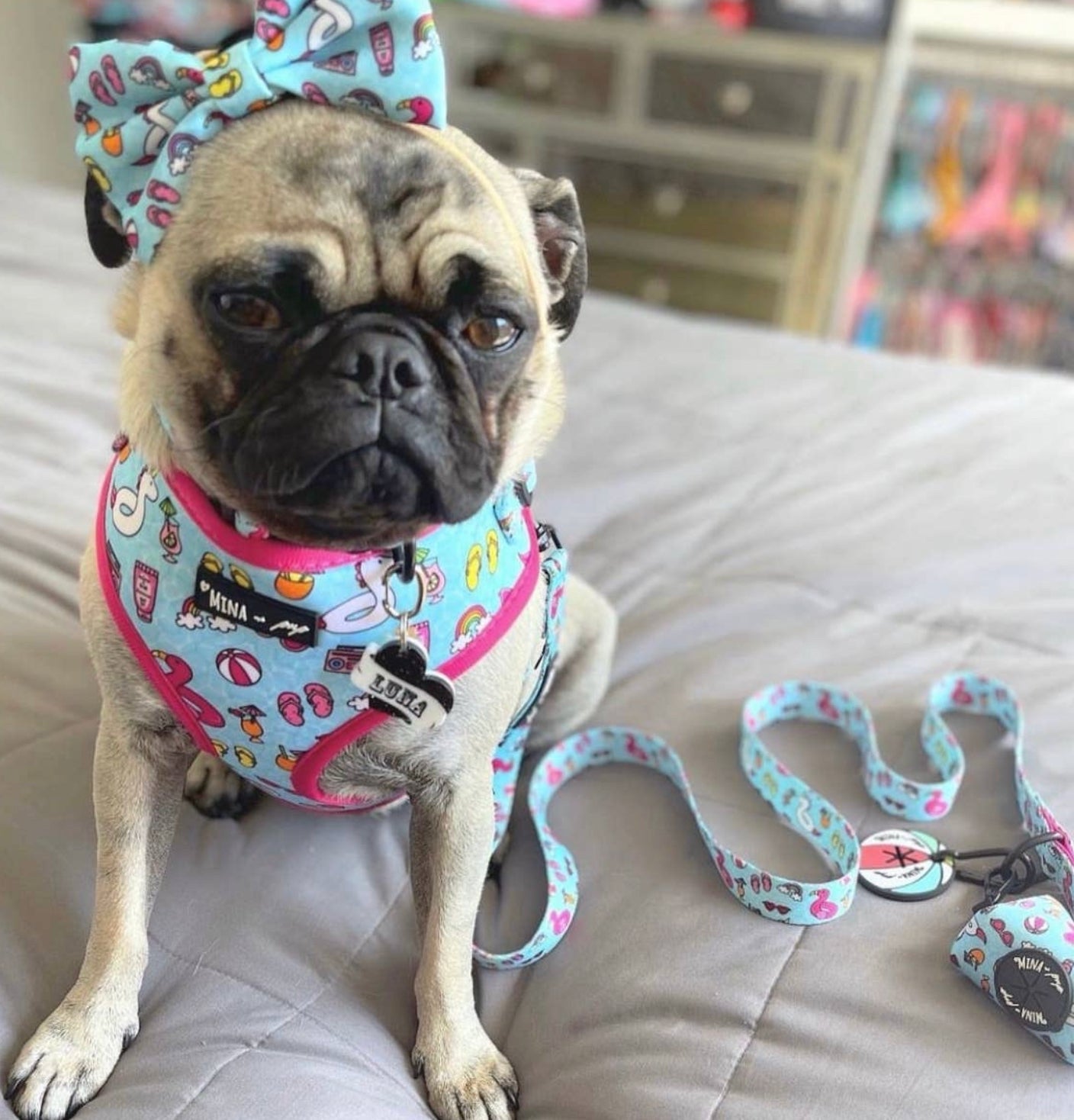 Pool Day Dog or Cat Bow Tie