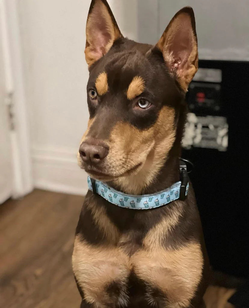 Pupshake Blue Comfort Collar