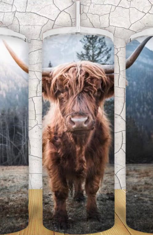 20oz Highland Cow Tumbler