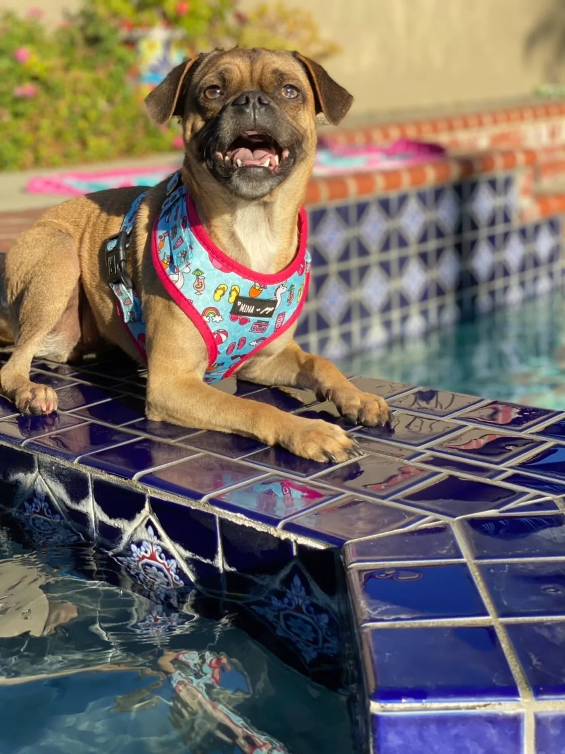 Pool Day Adjustable Harness