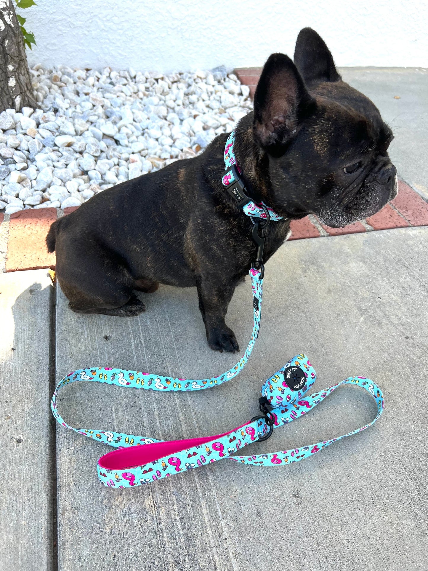 Pool Day Comfort Collar