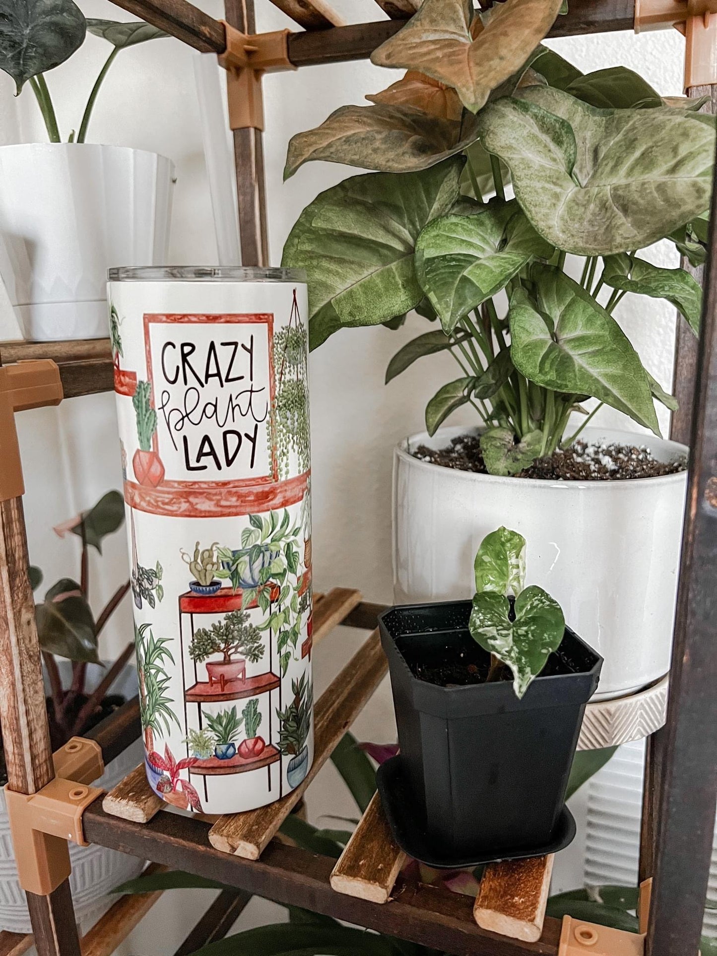 20oz Crazy Plant Lady Tumbler