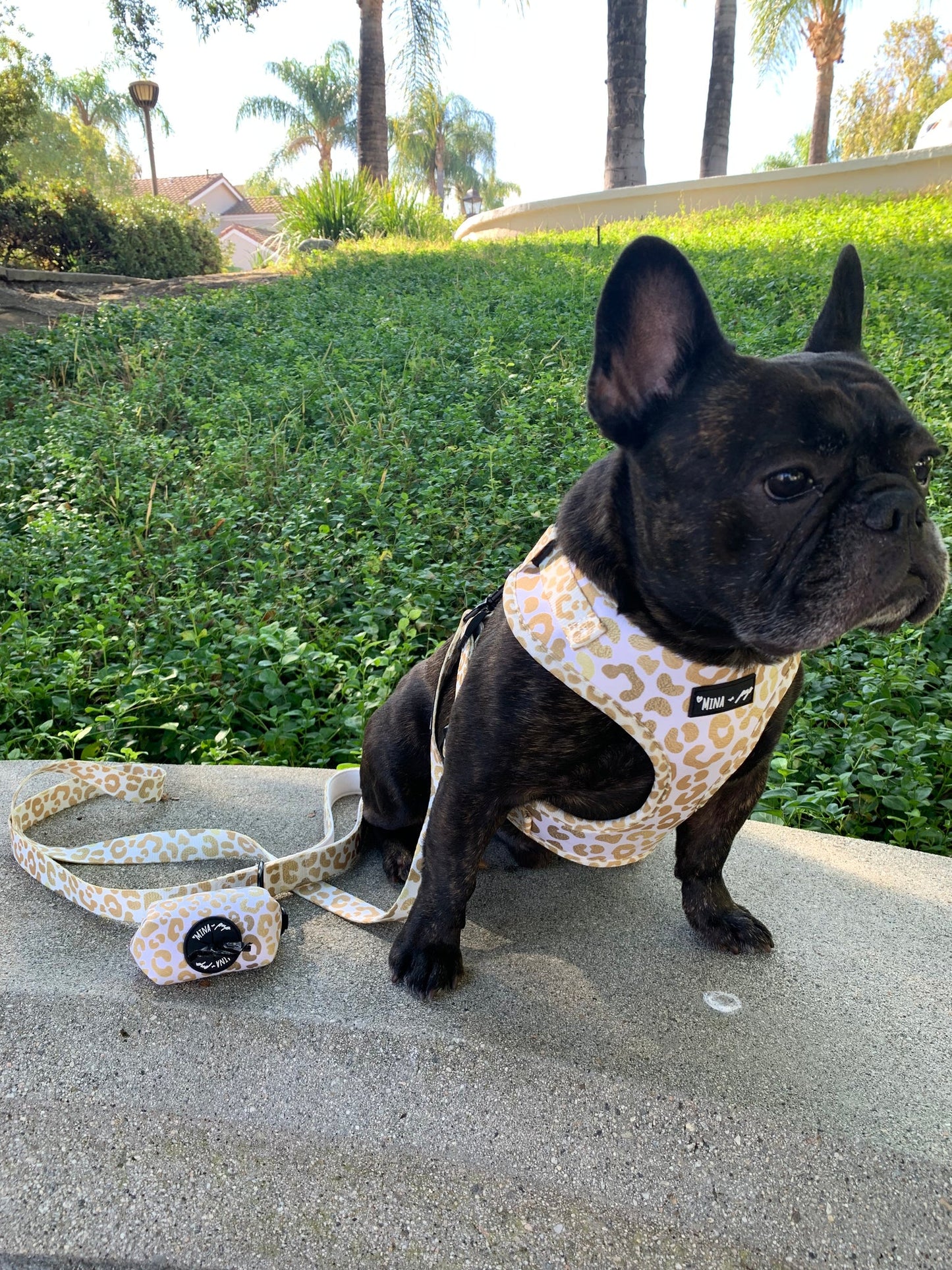 You’re So Golden Adjustable Harness, Leash, Poop Bag Bundle