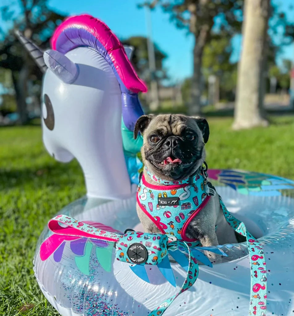 Pool Day Adjustable Harness, Leash and Poop Bag Bundle