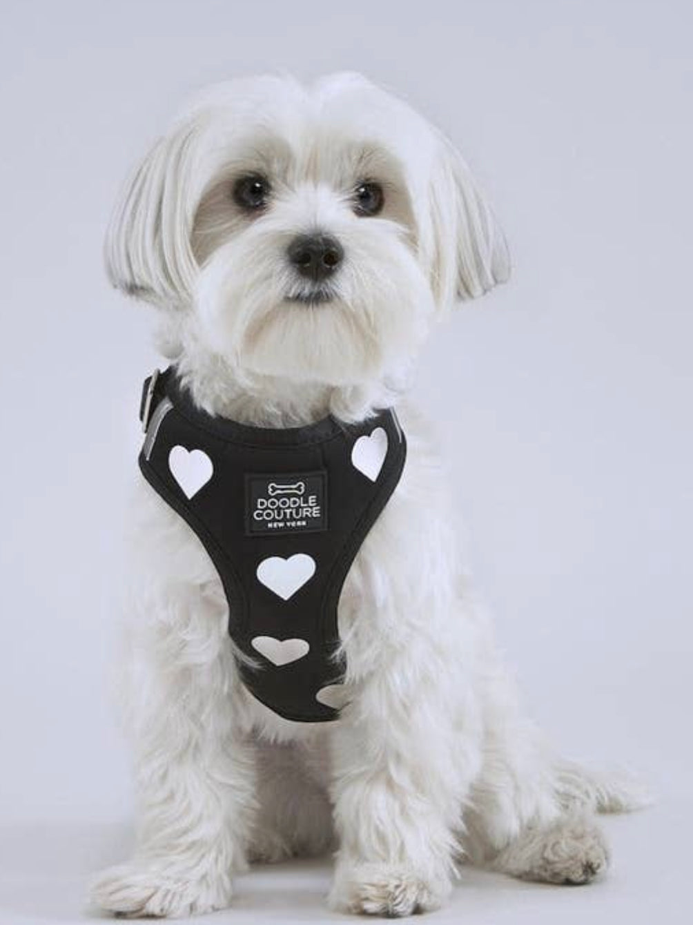 Silver Hearts Adjustable Harness